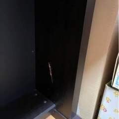 中古 CASIO CELVIANO AL-100R（カシオ セルビアーノ）の画像