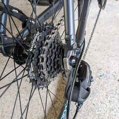 ビアンキ　カメレオンテ１ クロスバイクの画像