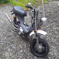 ホンダ　シャリー　ボアアップ８０cc