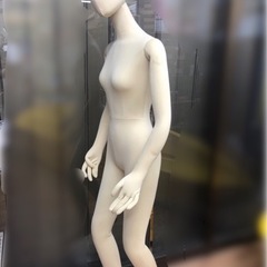 レディース　フレキシブルマネキン