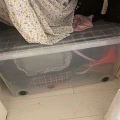 透明の収納ケース