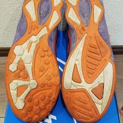 ジュニアシューズ 瞬足 22,5cmの画像