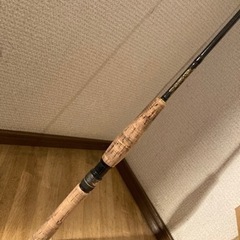 バスロッド　megabass スピニング用