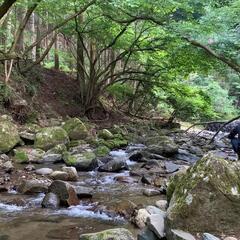 【キャンプ場用地として使える土地探してます！！】
 - 買いたい/ください