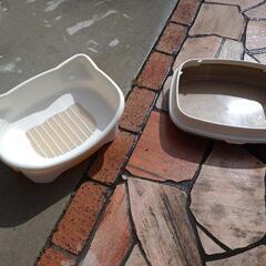 猫のトイレ(交渉中)の画像