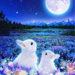18時迄の通話友達募集、よろしくお願い致します(❁ᴗ͈ˬᴗ͈)