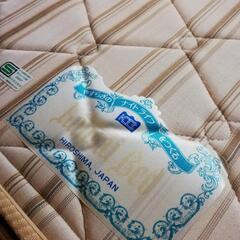 【一旦受付終了します】【引取限定】セミダブルベッドの画像