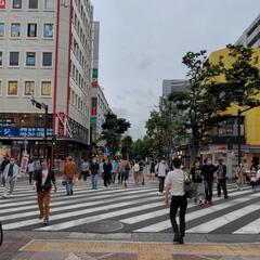 “不倫調査料金”30万~50万円低料金で証拠集めゴリラ探偵事務所...