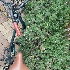 自転車 六段変速 26インチ  オートライト仕様の画像