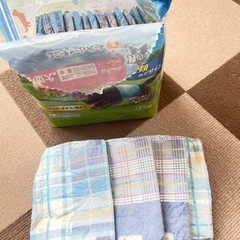 マナーウェア　Sサイズ　小型犬　18枚の画像