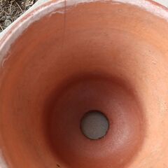 素焼き鉢　中古　16個の画像