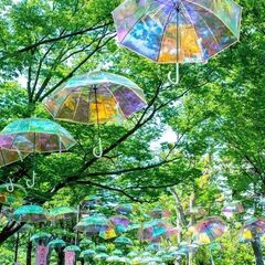 【初心者歓迎】6/26日　千葉公園でモルック体験とお茶会／ぐるーむ - 千葉市