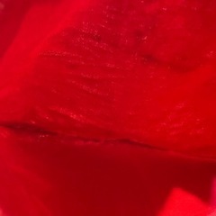 バリーショッパー 保存袋 赤の画像