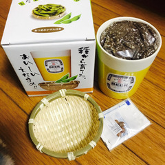 枝豆栽培セット🌱