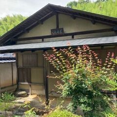 【レトロな本格茶室！！】レンタルスペース！！茶道・華道・教室など