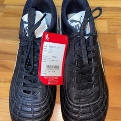 サッカースパイク新品未使用 パラメヒコ 26.0cm [プーマ PUMA]  の画像