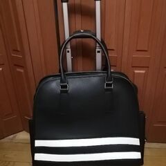 1回使用のみ　 ラインボストン型キャリーBAG　