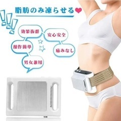 家庭キャビテーション 冷凍ダイエットマシン 脂肪冷却 おうちエステ