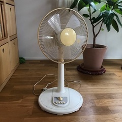 差し上げます！ 扇風機
