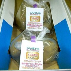 【無人販売知恵袋】じゃがいも・ピルカ　農水省登録品種 - 教えたい