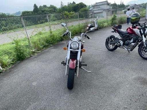 カワサキ バルカン800クラシック 最終値下げ