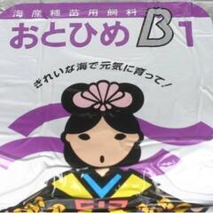 おとひめ　B１　新鮮パック　２㎏　（引き取り限定）（送料別途）