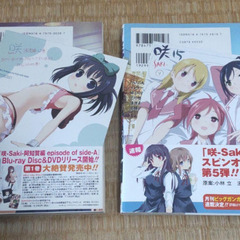 咲 -Saki- 阿知賀編  1〜3、1〜10 12 13 15の画像