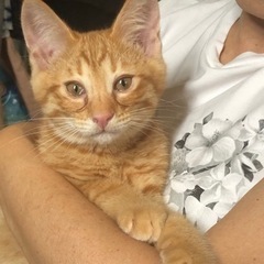 里親決定しました^_^