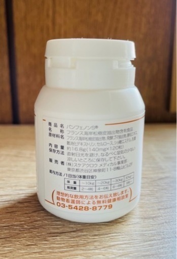 パンフェノンS 88錠