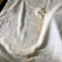 【新品】CARLO PALAZZI　大判バスタオルの画像