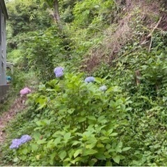 神奈川県中郡大磯町 #94 不動産0円物件 - 不動産