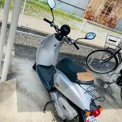 Honda todayの画像