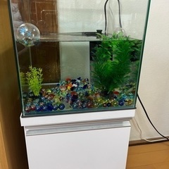 水槽、水槽台
