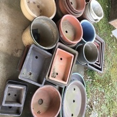 引取先決定●植木鉢●形サイズ色々●中古品