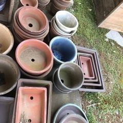 引取先決定●植木鉢●形サイズ色々●中古品の画像