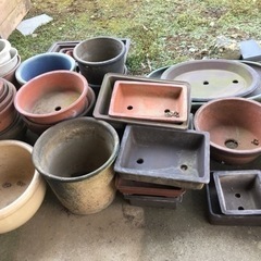 引取先決定●植木鉢●形サイズ色々●中古品の画像