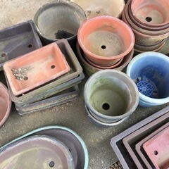 引取先決定●植木鉢●形サイズ色々●中古品の画像