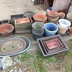 引取先決定●植木鉢●形サイズ色々●中古品の画像