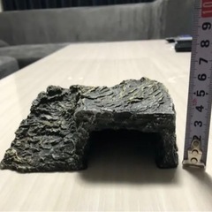 お話し中③爬虫類 両生類 シェルターの画像