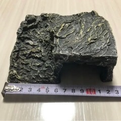 お話し中③爬虫類 両生類 シェルターの画像