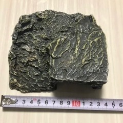 お話し中③爬虫類 両生類 シェルター