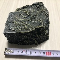 お話し中③爬虫類 両生類 シェルターの画像