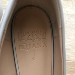 【今月中まで】DIANA レインパンプスの画像