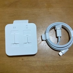 iPhone用　USB-Cケーブルとイヤホンの画像