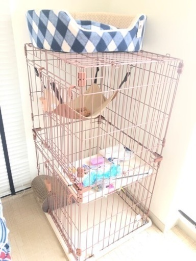 【急募】ペットゲージ2階建て(猫ちゃん用)