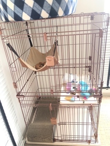 【急募】ペットゲージ2階建て(猫ちゃん用)