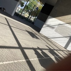 ☀️ストリートバスケやりますよー！🏀⛹️‍♂️