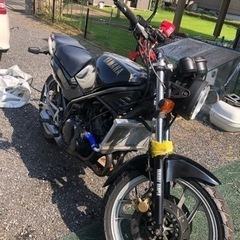 RZ250R の画像