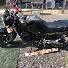 RZ250R の画像