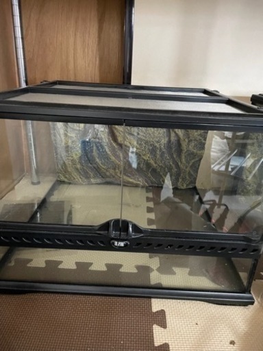 グラステラリウム4545 PT2605 爬虫類　ケージ